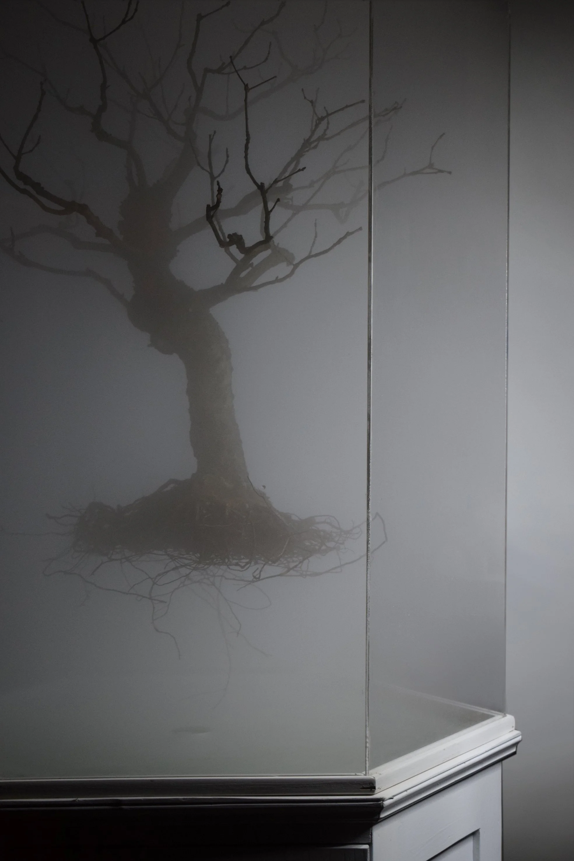 a room of my own 5.jpg