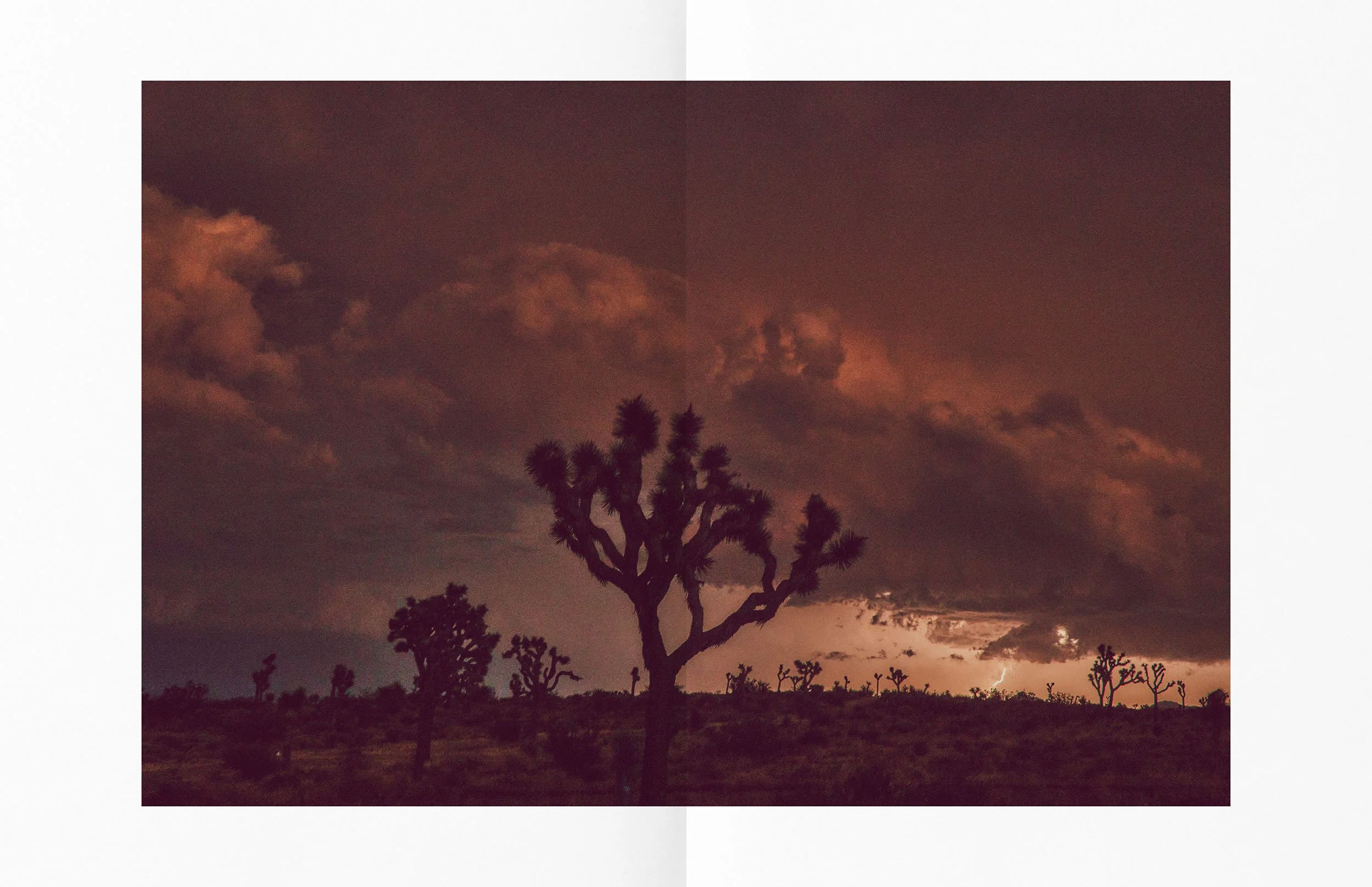 ThomasNorthcut-Portfolio-01822.jpg