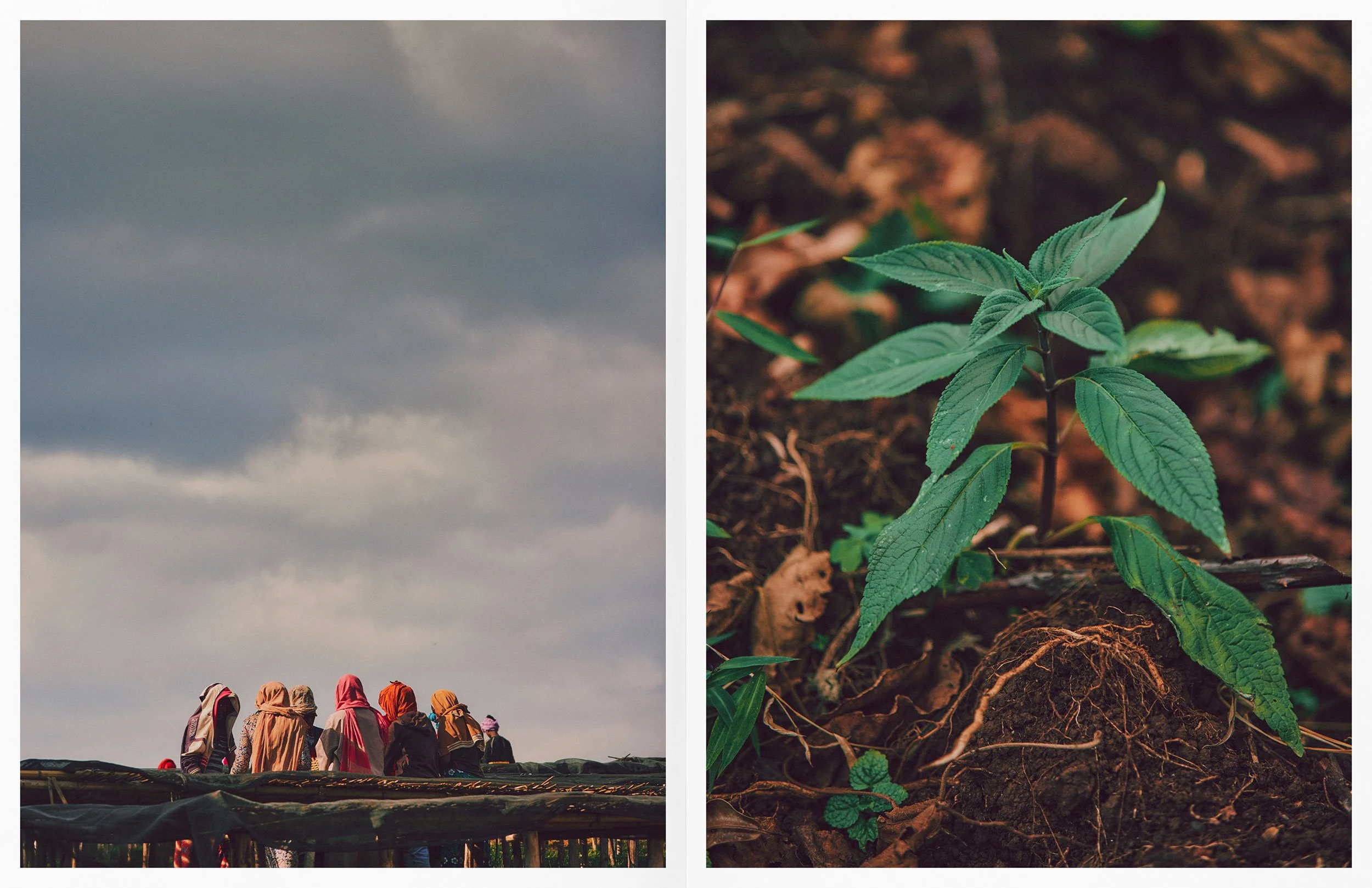 ThomasNorthcut-Portfolio-02383.jpg