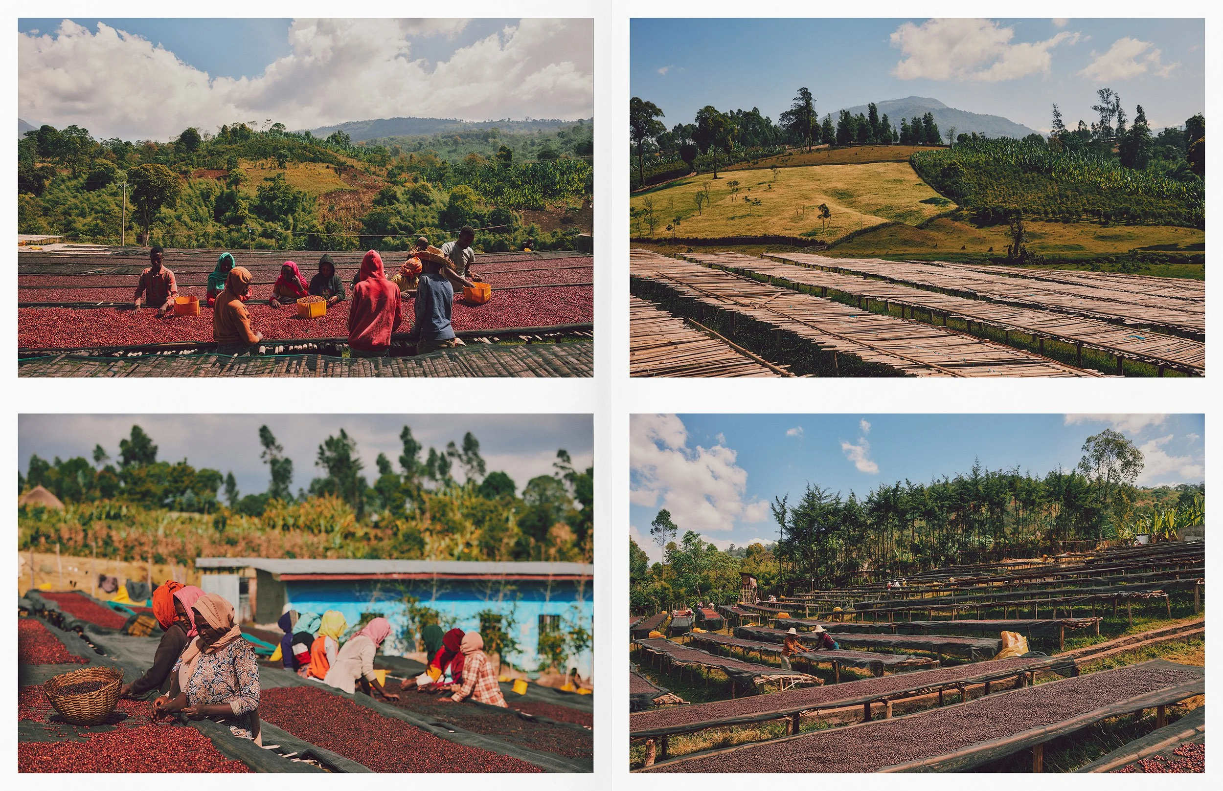 ThomasNorthcut-Portfolio-02386.jpg