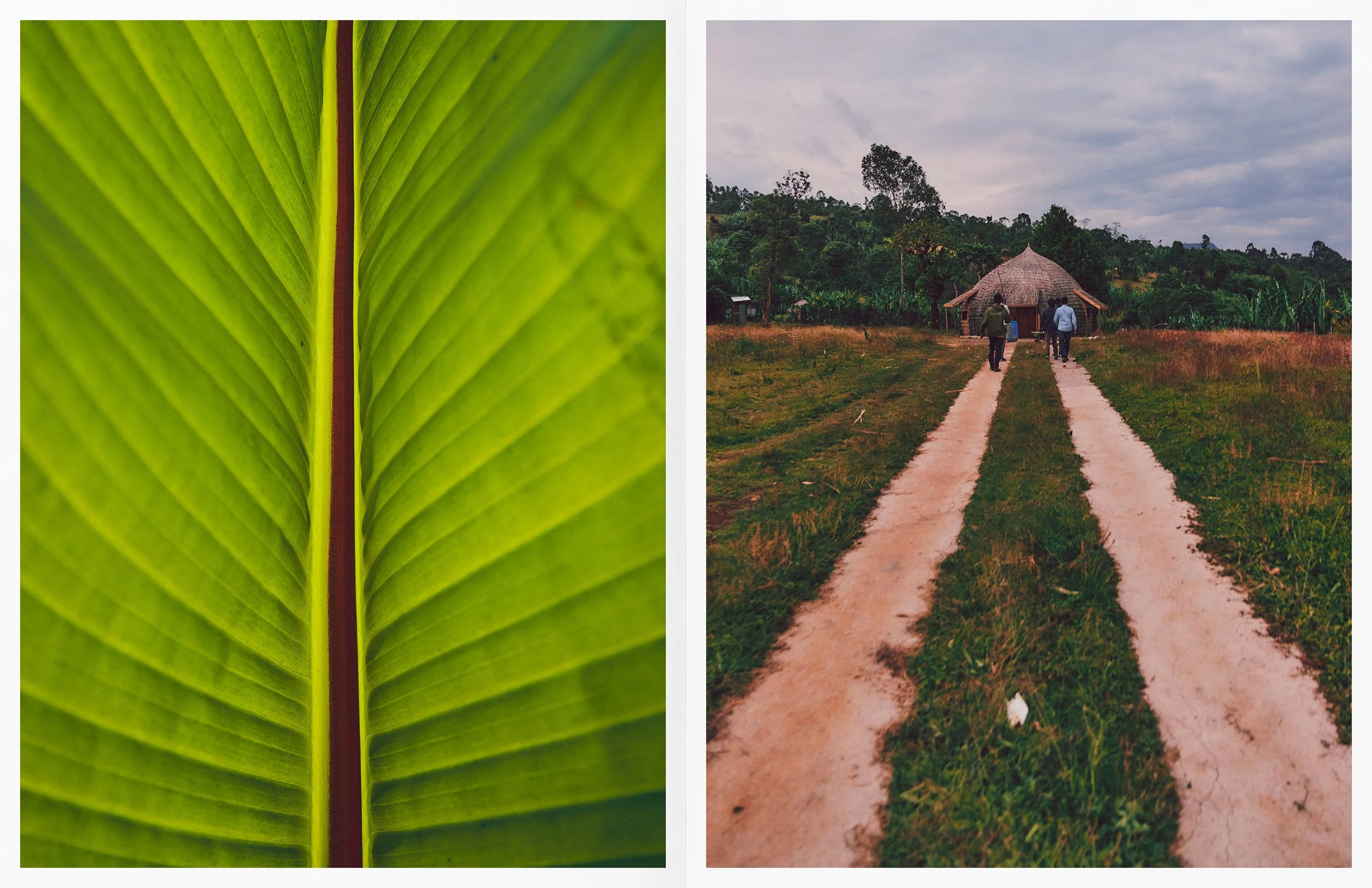 ThomasNorthcut-Portfolio-02389.jpg