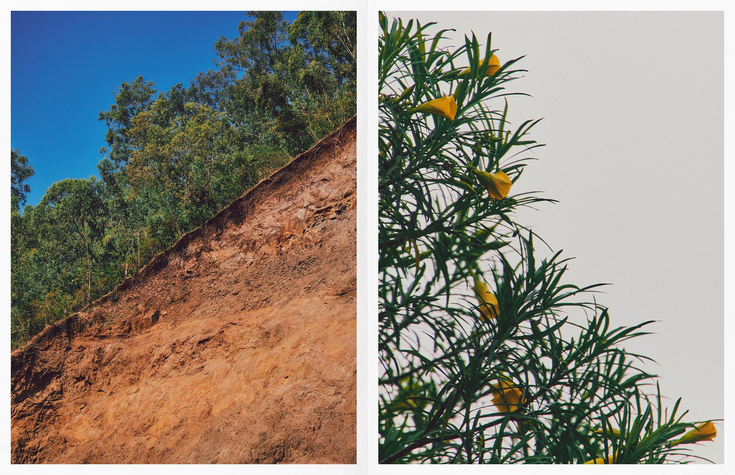 ThomasNorthcut-Portfolio-02396.jpg