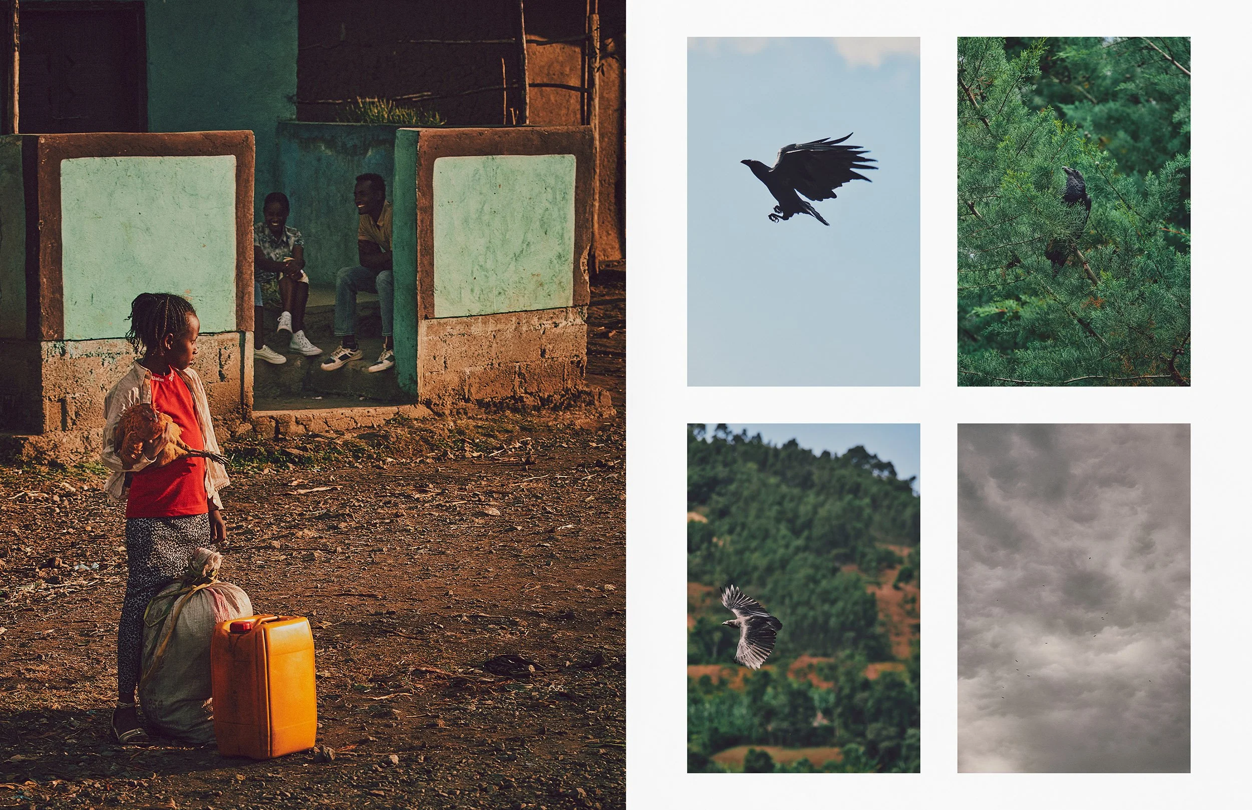 ThomasNorthcut-Portfolio-02430.jpg