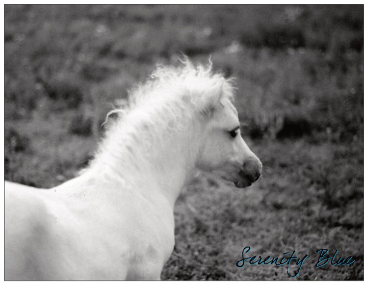 Baby Milly Post Card.jpg