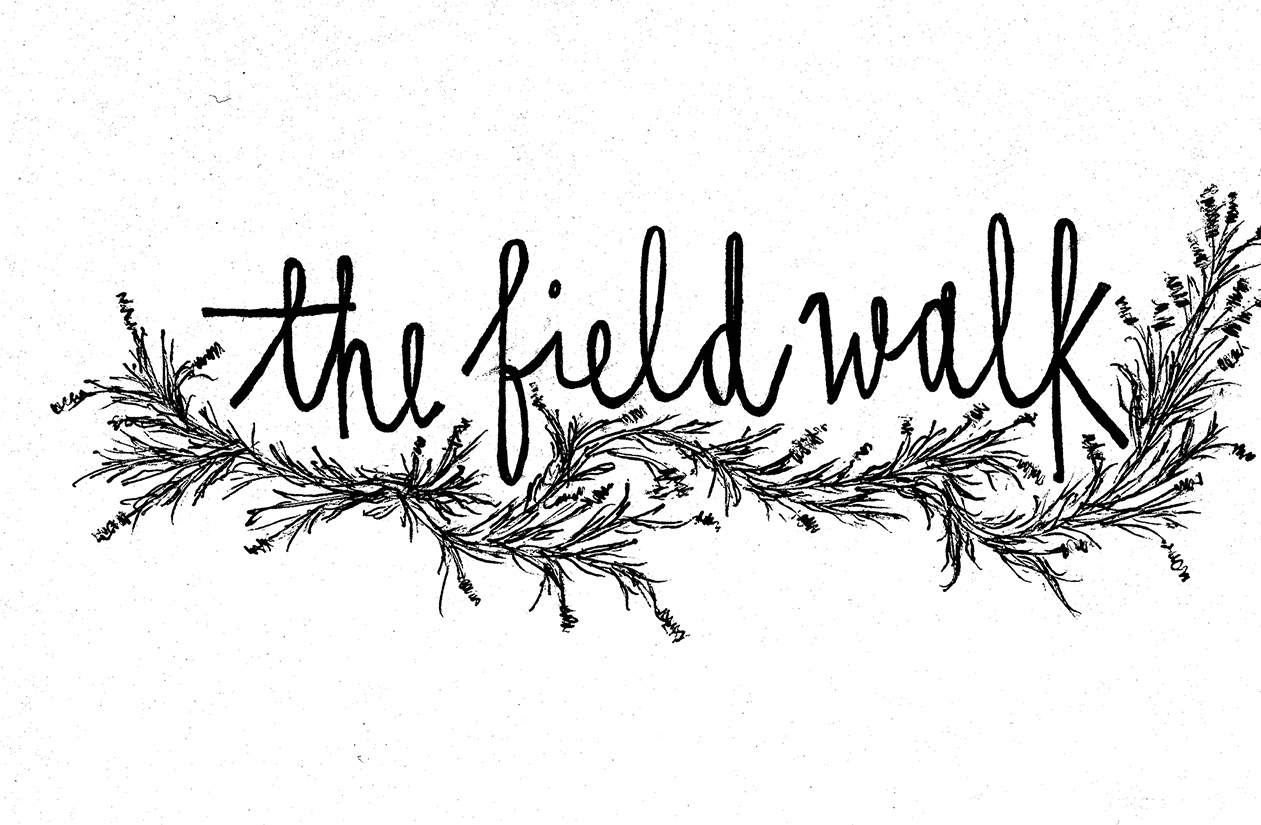 Field Walk Design Cut Out Smaller.jpg