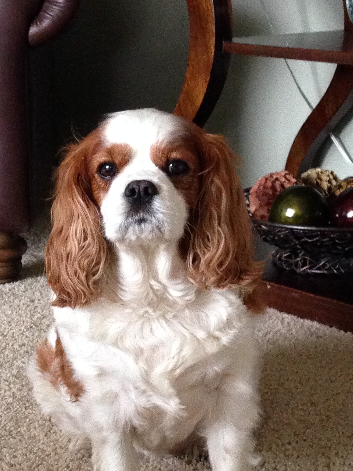 ABBY