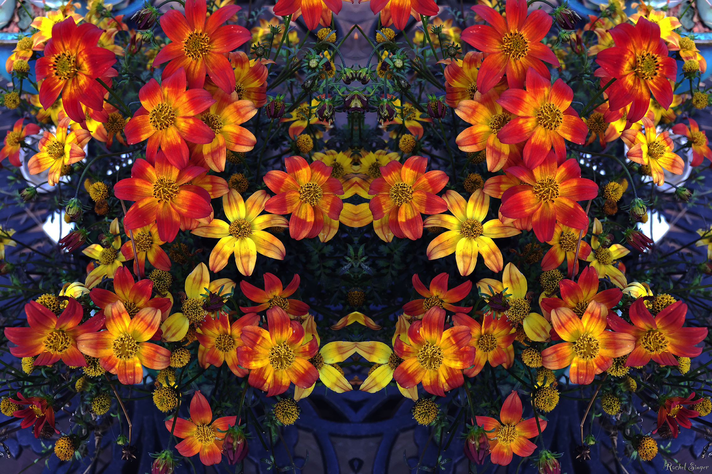 bee flowers