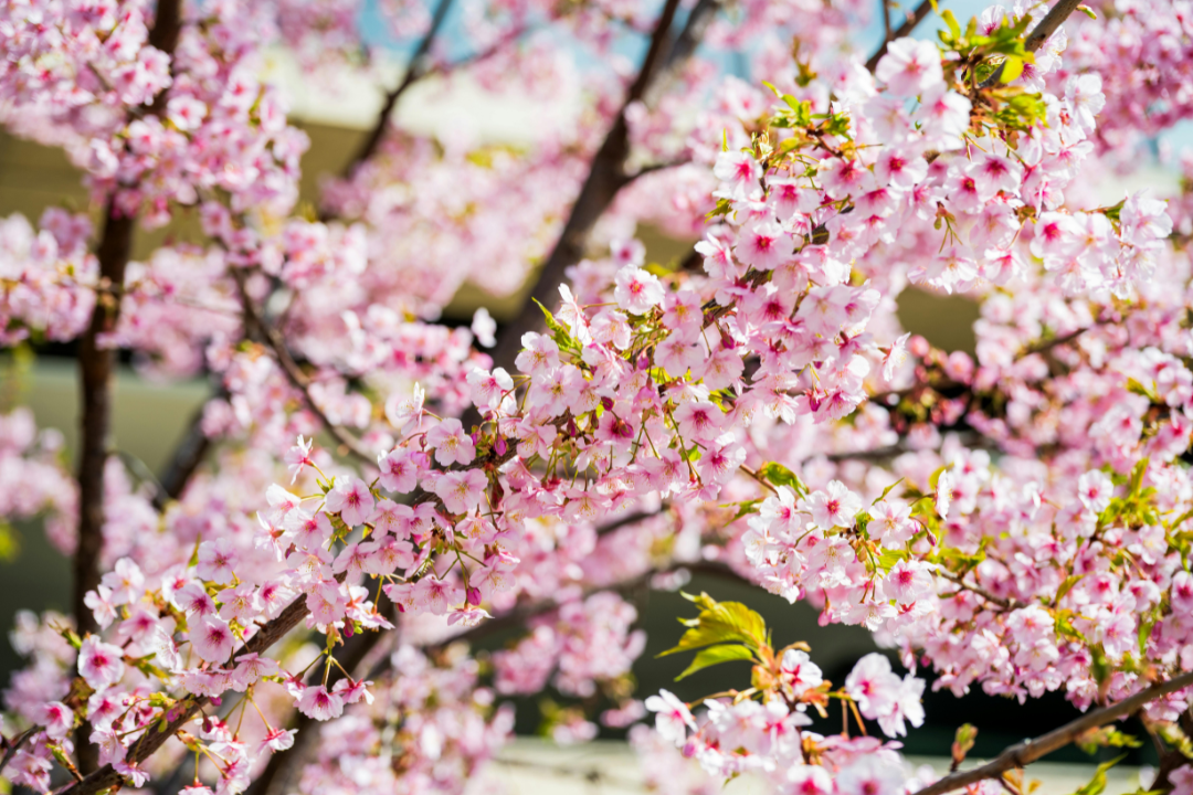 Where Renewal Meets Relationships