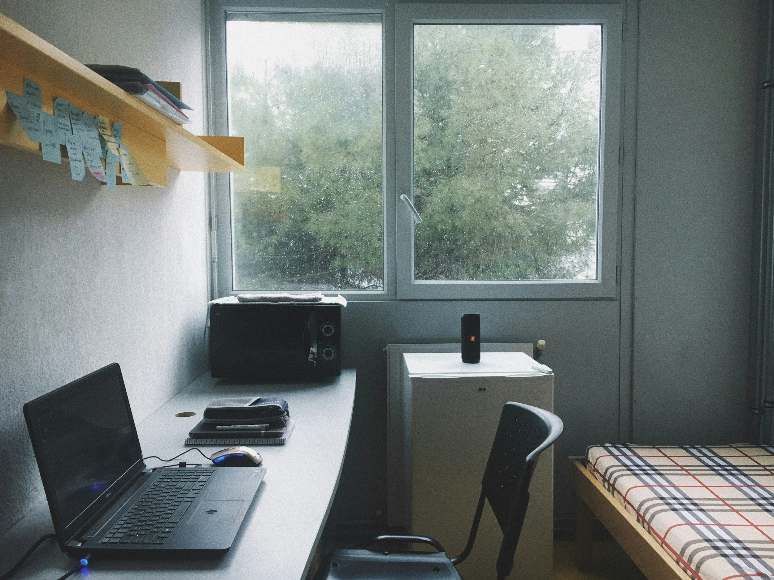 Freshman Perspective: Where I Come From, Where I'm Going