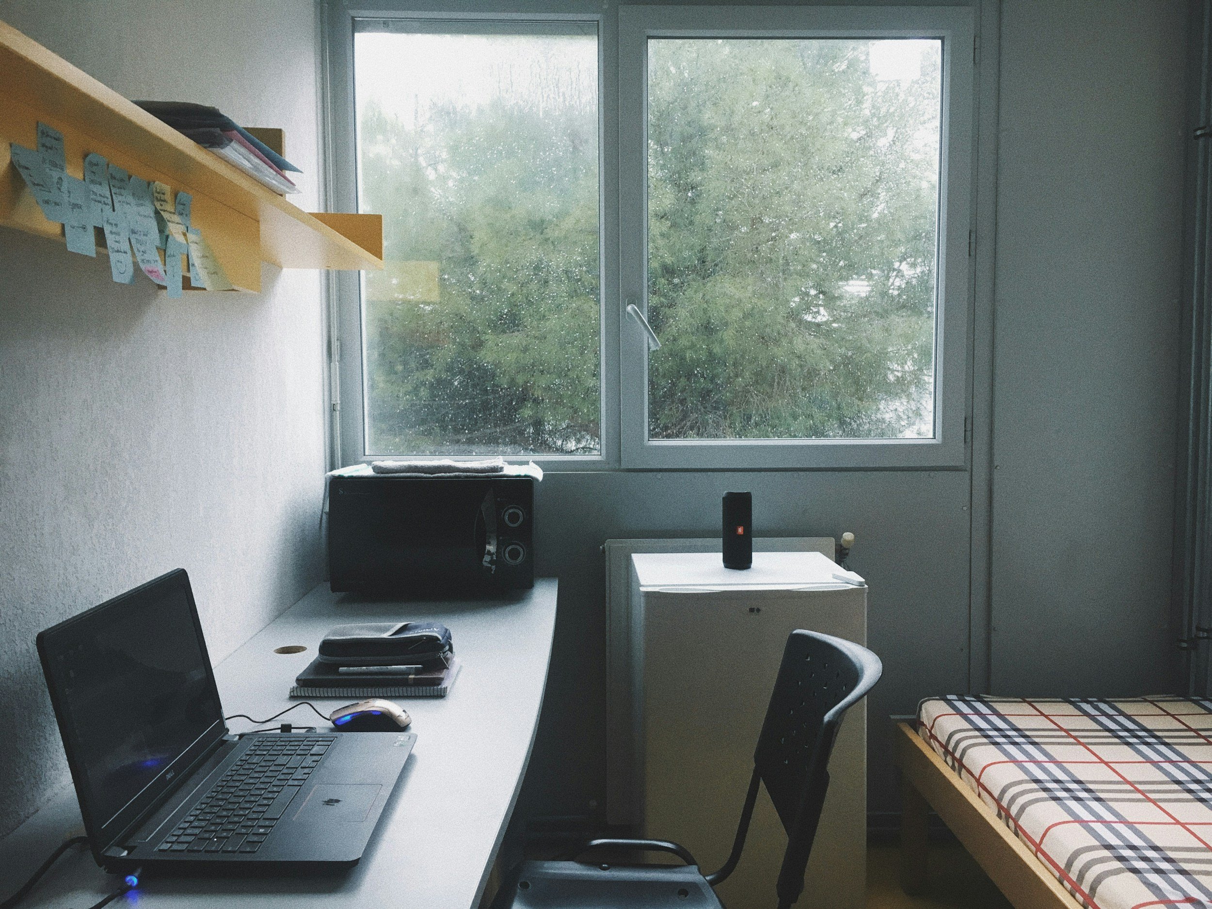 Freshman Perspective: Where I Come From, Where I'm Going