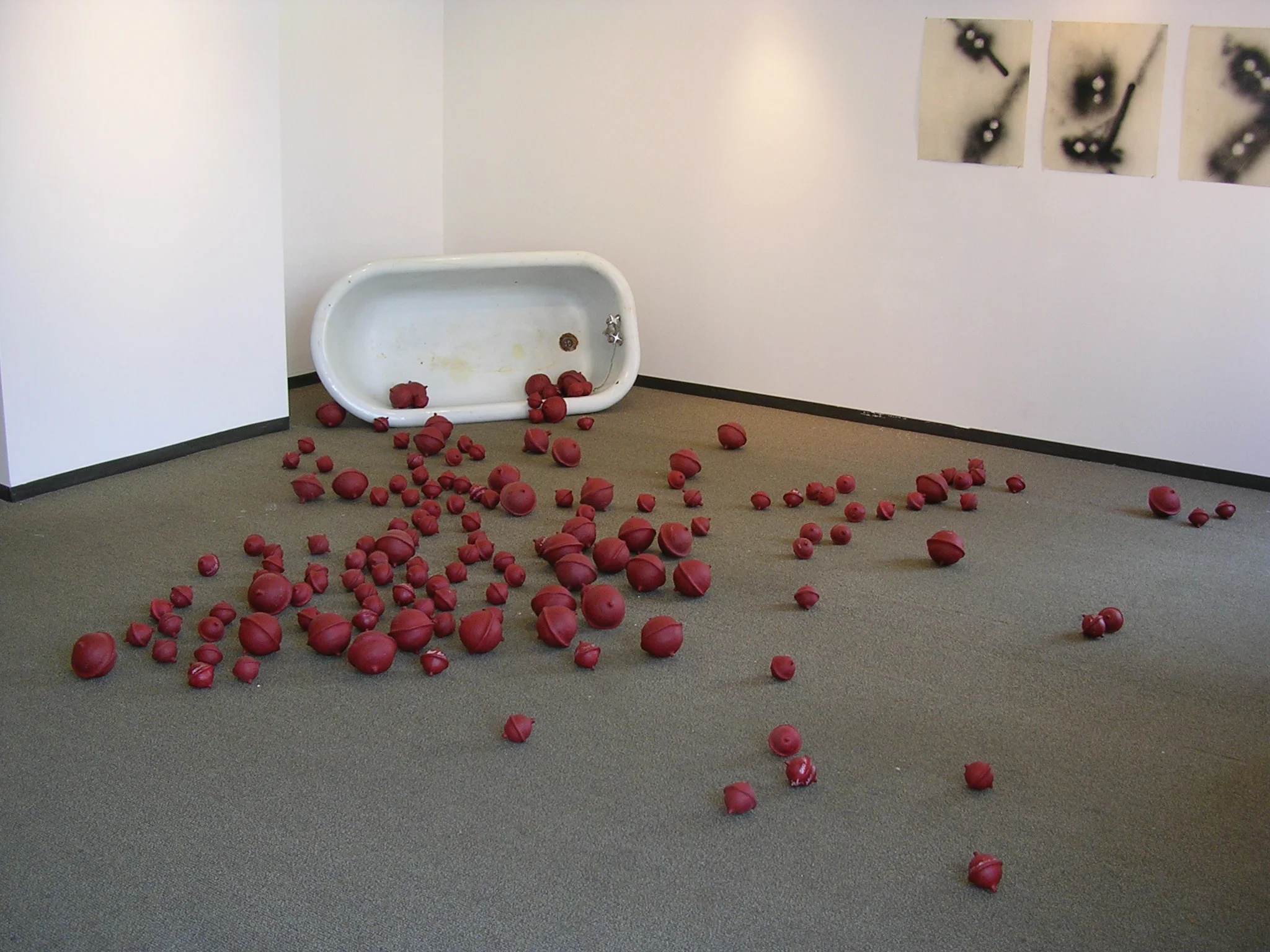 student installation