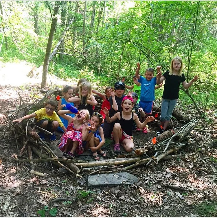 bird nest building fun