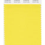 13-0755_primroseyellow.jpeg