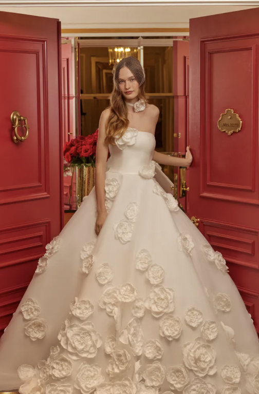 Sareh Nouri Spring 2025