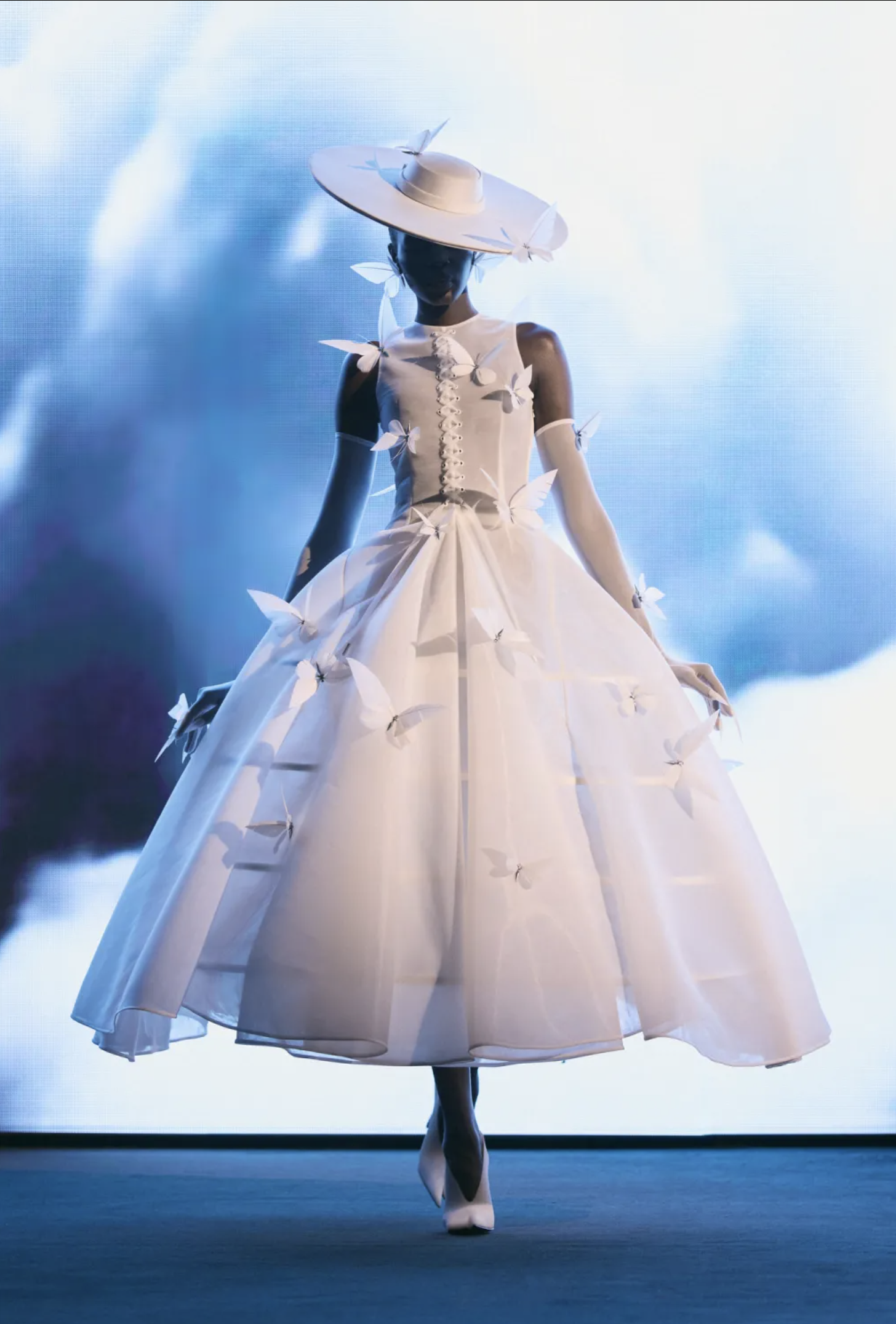 Screenshot 2026-01-29 at 11.46.06 AM.png