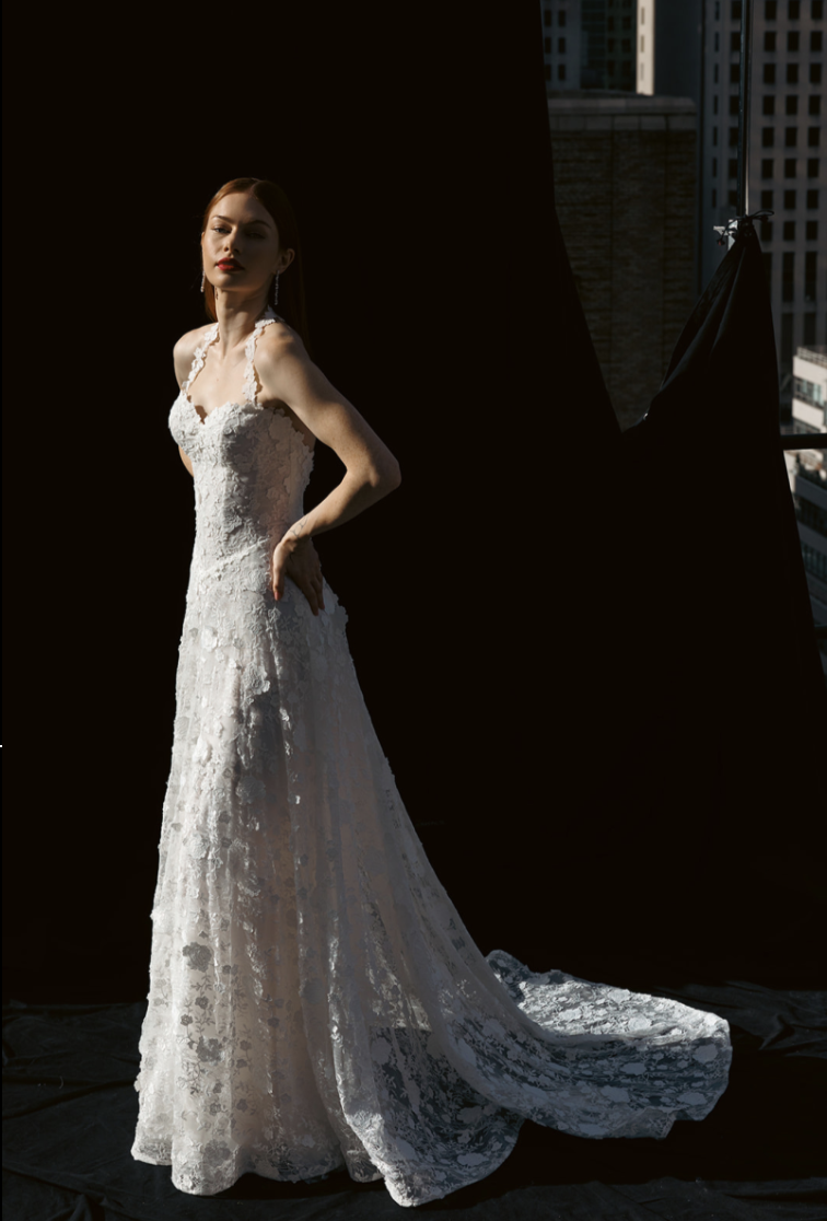 Screenshot 2026-10-26 at 11.57.55 AM.png