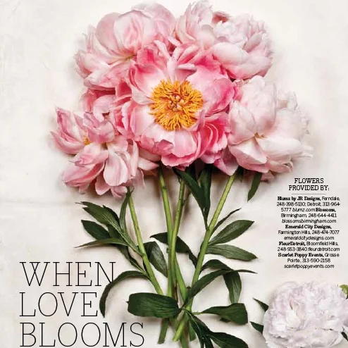 BotanyFlowers-1.jpg