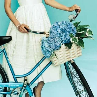 Bike.jpg