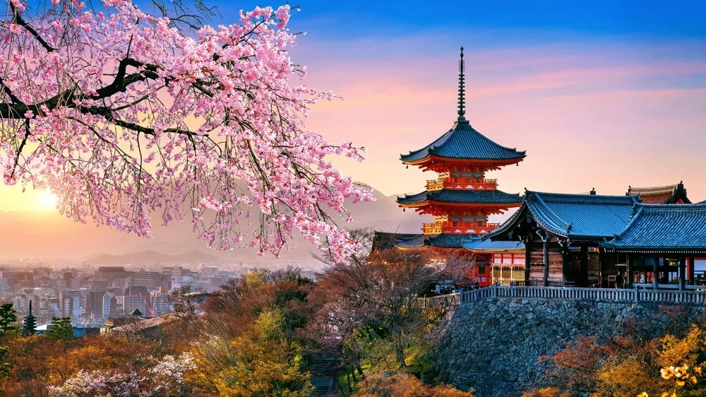 Japan Master 2.jpg