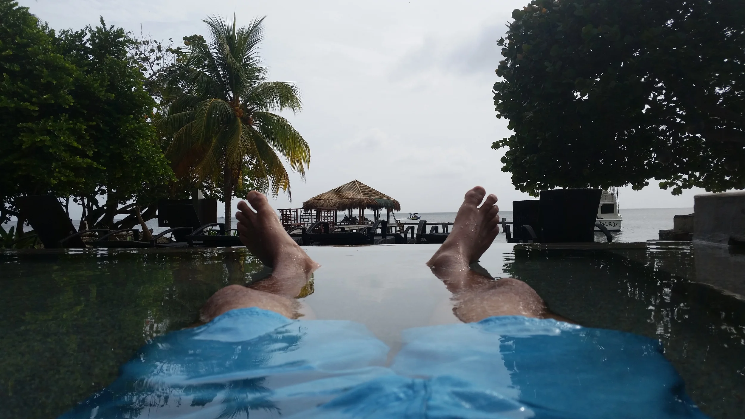 20150618_151228.jpg