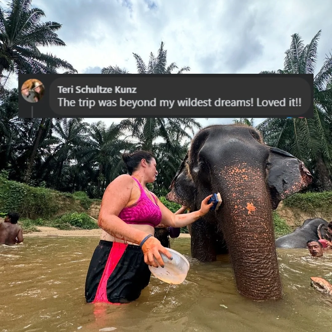 72% repeat guests and this is why. ⬇️
Every detailed is meticulously planned for you. 
Thoughtfully curated itineraries without the crowds. 
Exceptional value without sacrificing quality. 
High quality boutique accommodations. 
Our team on site to h