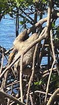 IMG_6518.JPG