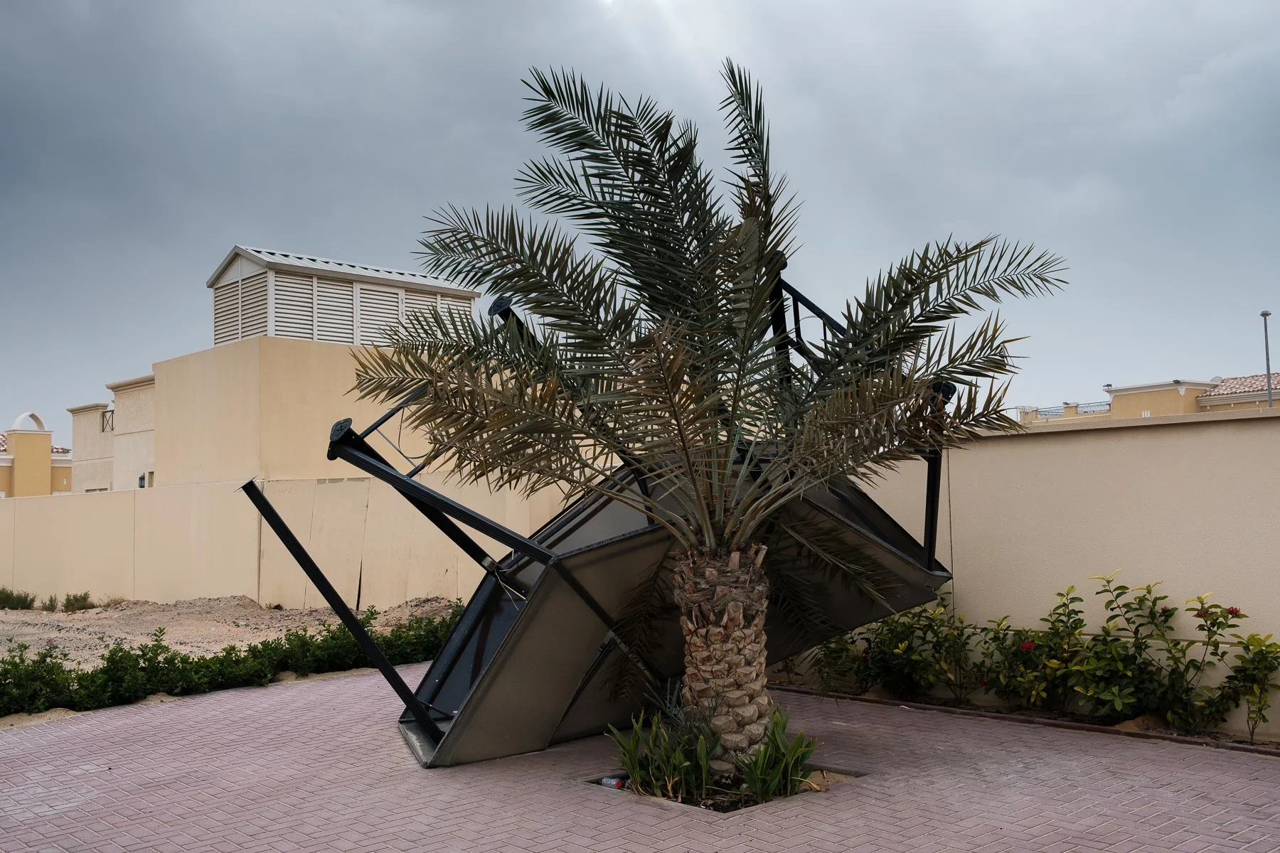 Wind-10.jpg