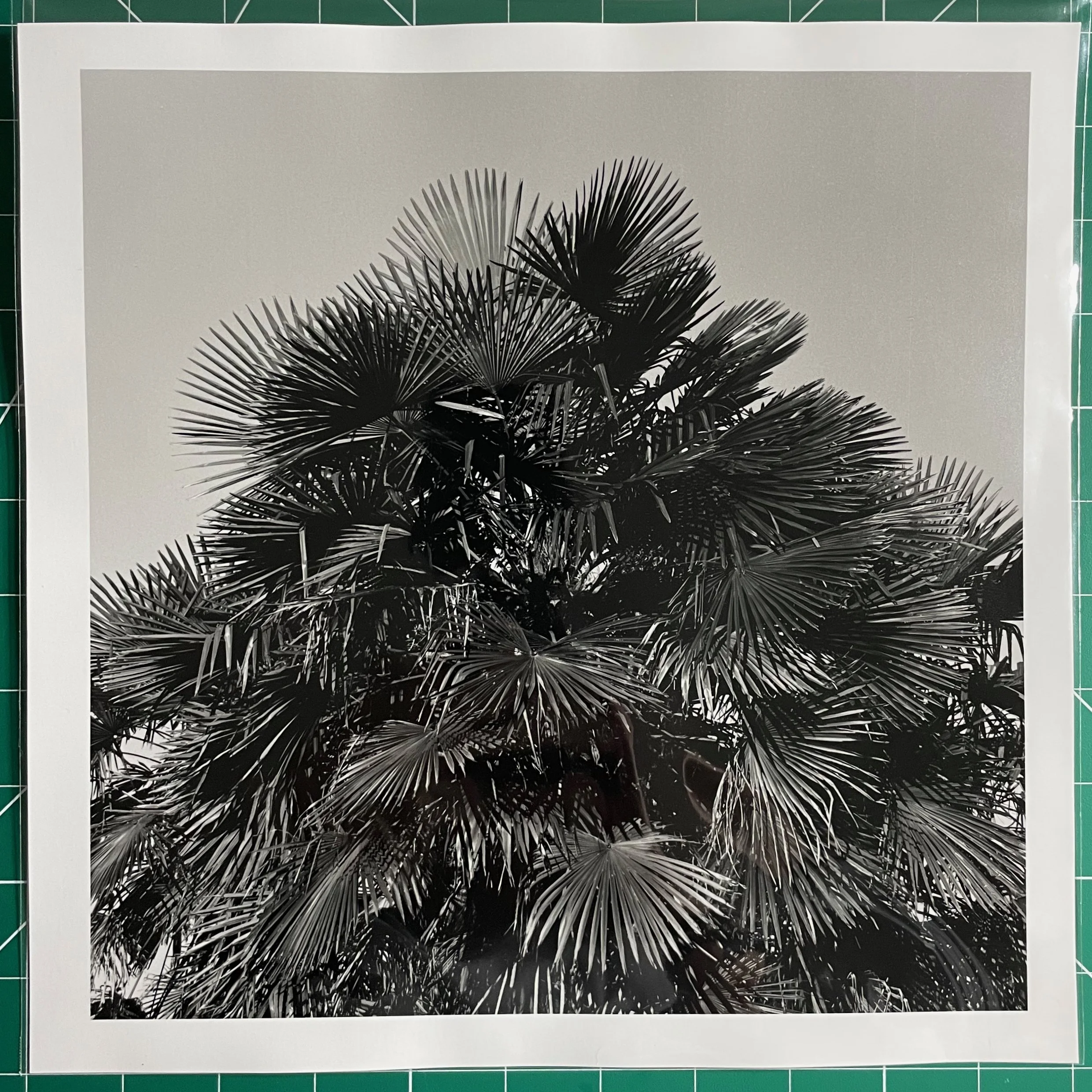 SG Beaches 02 Print.jpeg