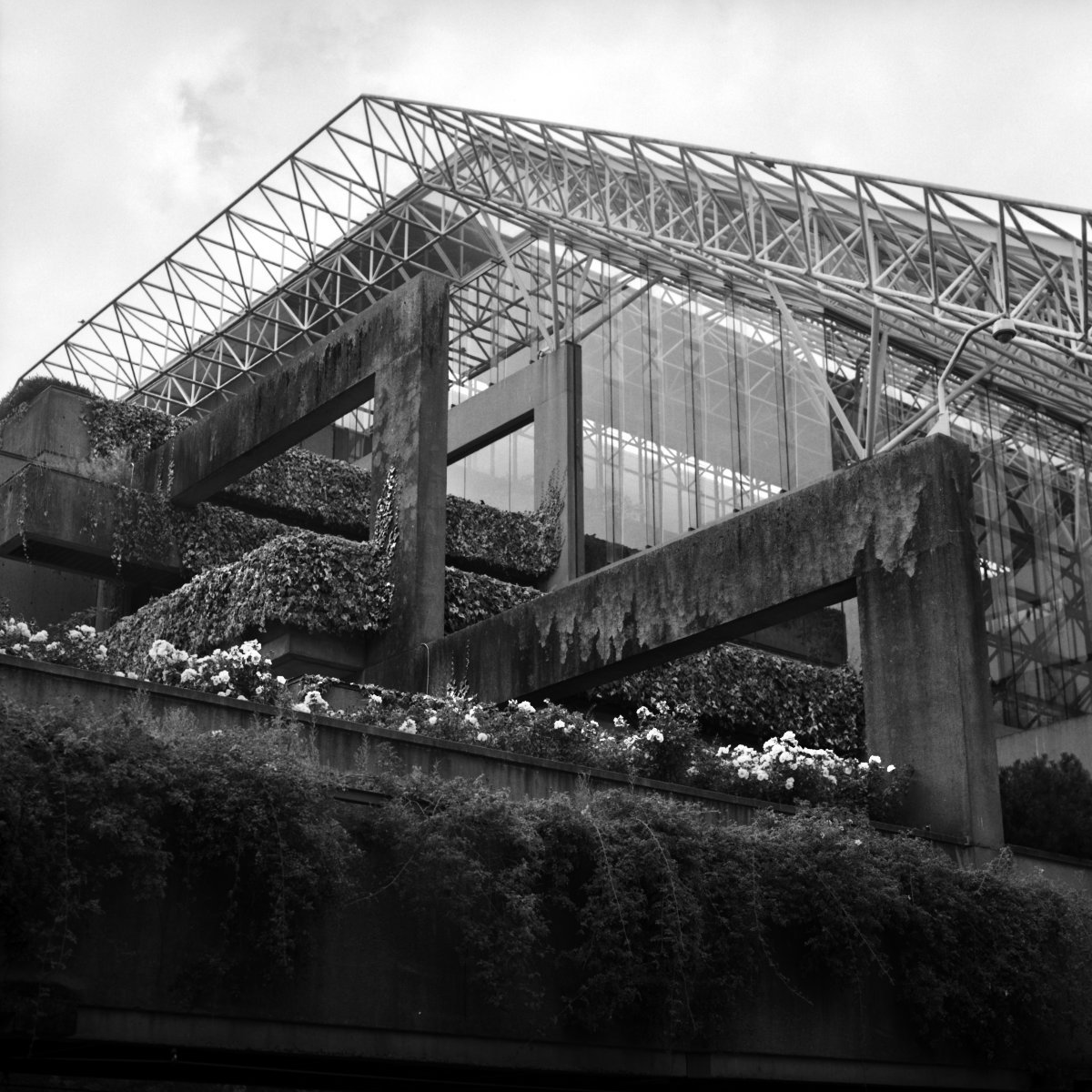Black and white photo of a modern building with large concrete beams, glass windows, and a metal framework on the roof, with plants and flowers on a balcony. This building is Vancouver's Law Courts building.