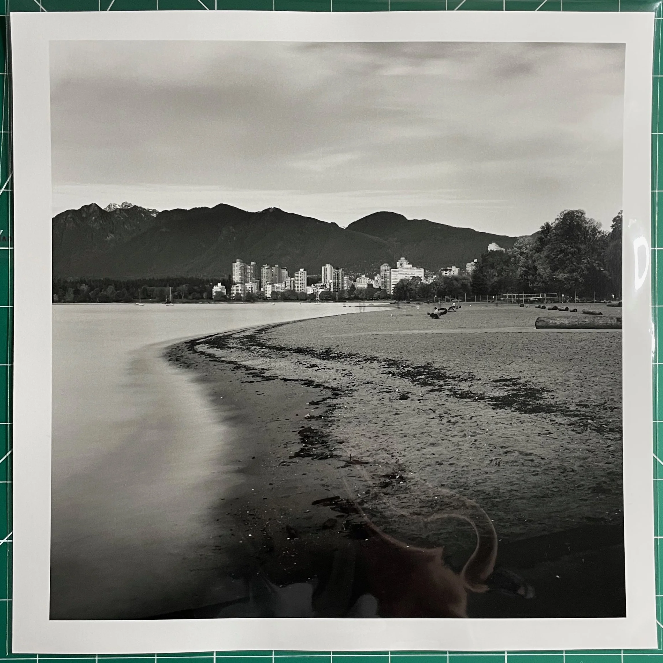 SG Beaches 05 Print.jpeg