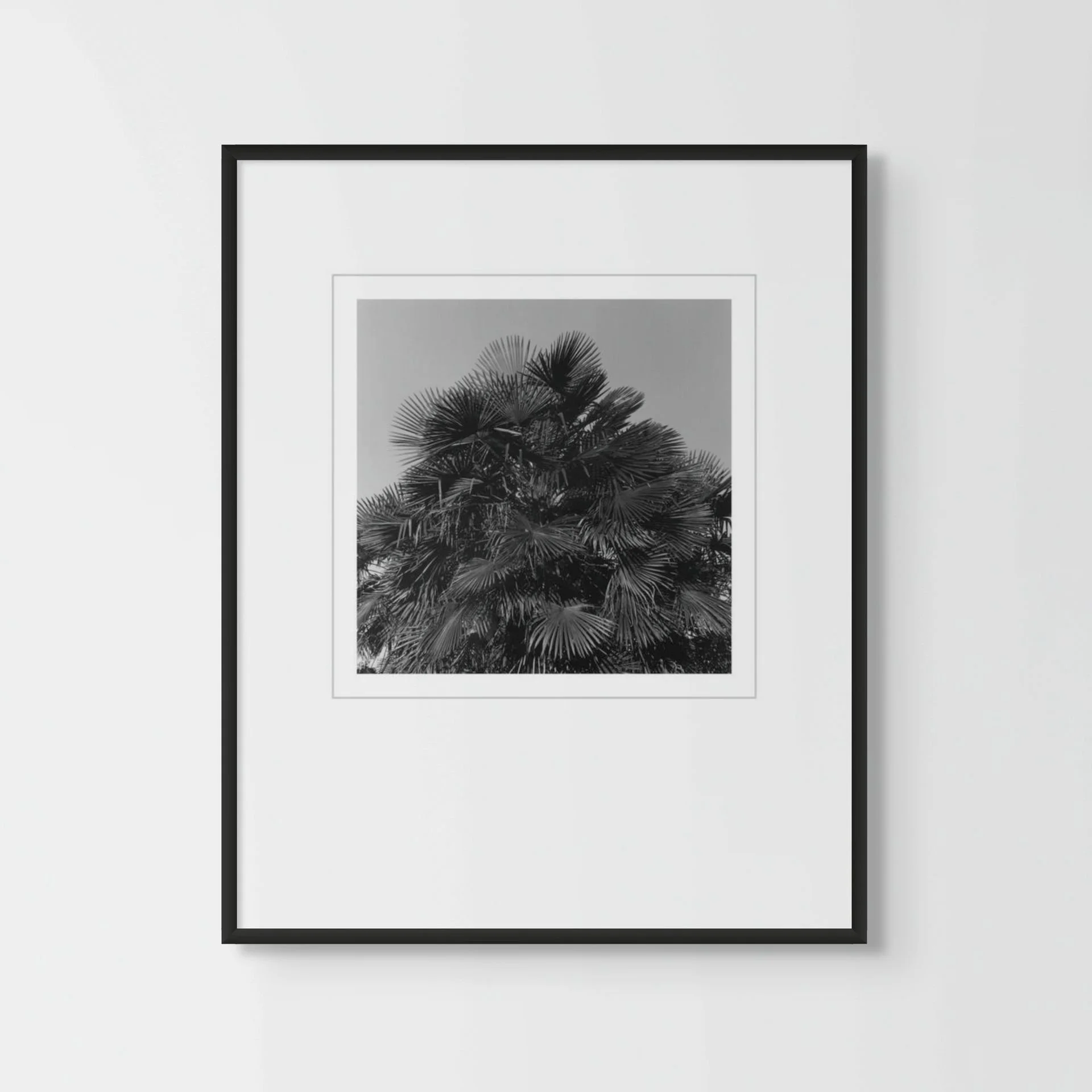 SG Beaches 02-11-medium.jpg