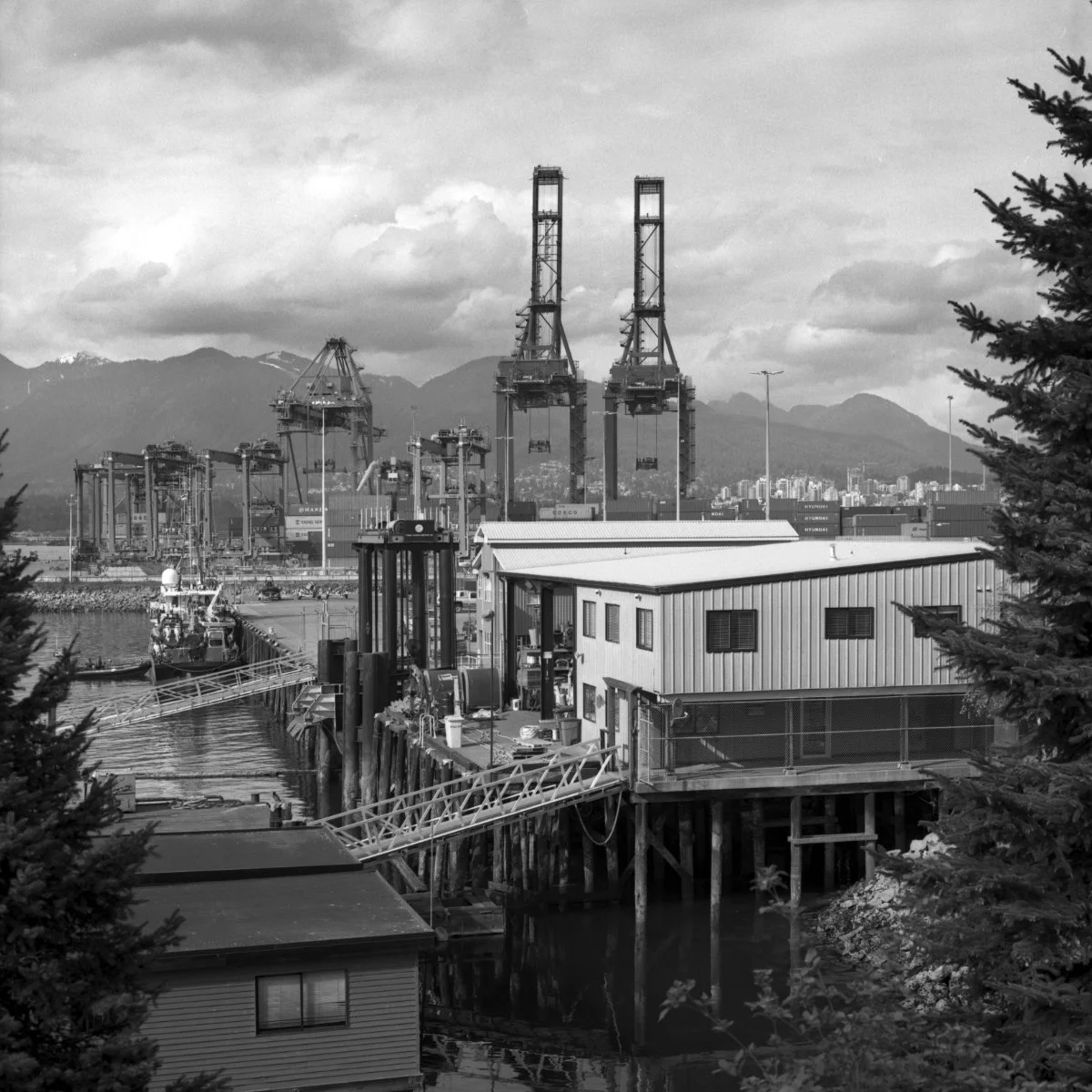 A black and white photo of a harbor with industrial cranes, a dock, a boat, and a building, with mountains and a city skyline in the background. This is a view of Vancouver's North Shore from CRAB park.