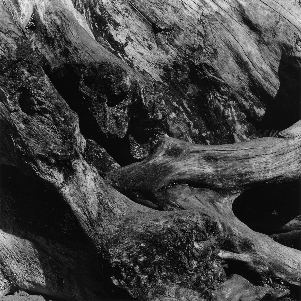 SG Beaches 03@1200.jpg