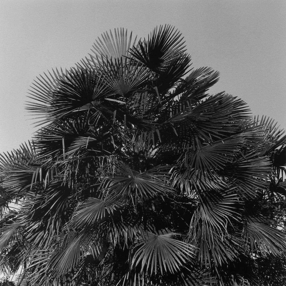 SG Beaches 02@1200.jpg