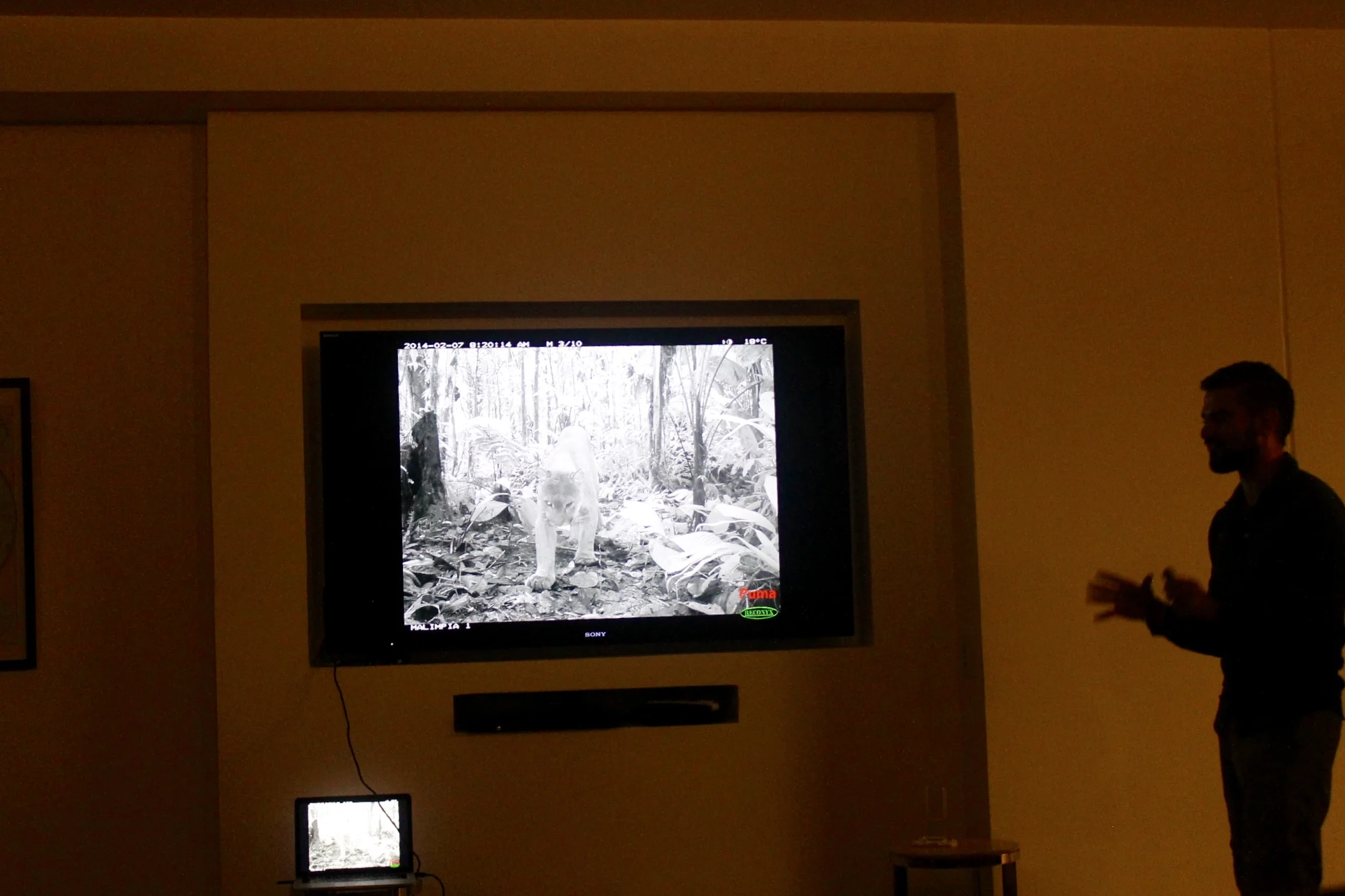 Here is an exciting night lecture by the Mashpi Lodge's resident biologist. In this photo, the biologist is lecturing about the many different species in the choco rainforest and the night vision cameras set up in the thousand mile vicinity of the lodge. At night is when the rainforest comes alive. The cameras help detect exactly who roams the forest. Look closely in this photo and it's the Puma, obviously. 