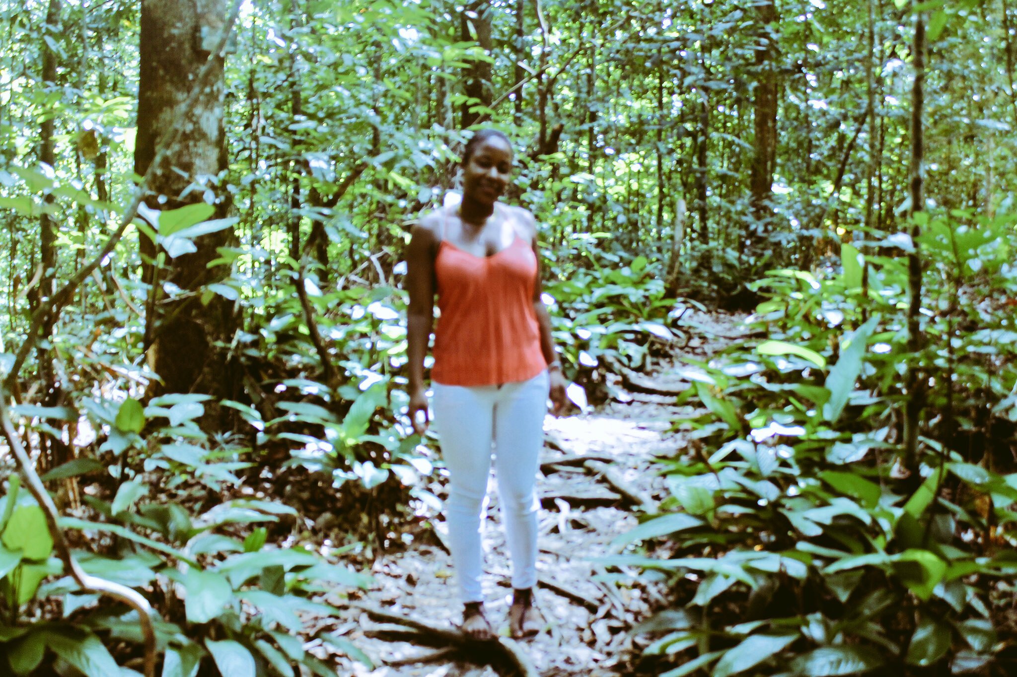 Hiking with the Asa Wright Nature Reserve Guides