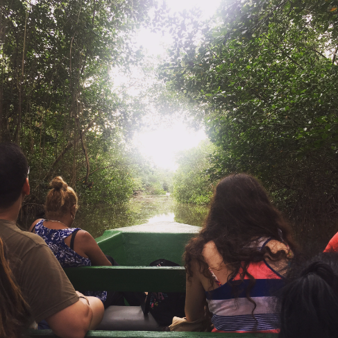 Caroni Bird Sanctuary Swamp Tour