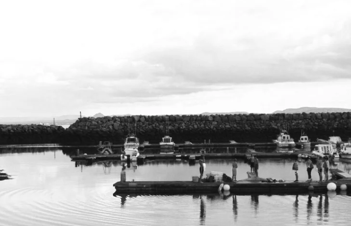 Screen Shot 2025-12-30 at 1.46.26 AM.png