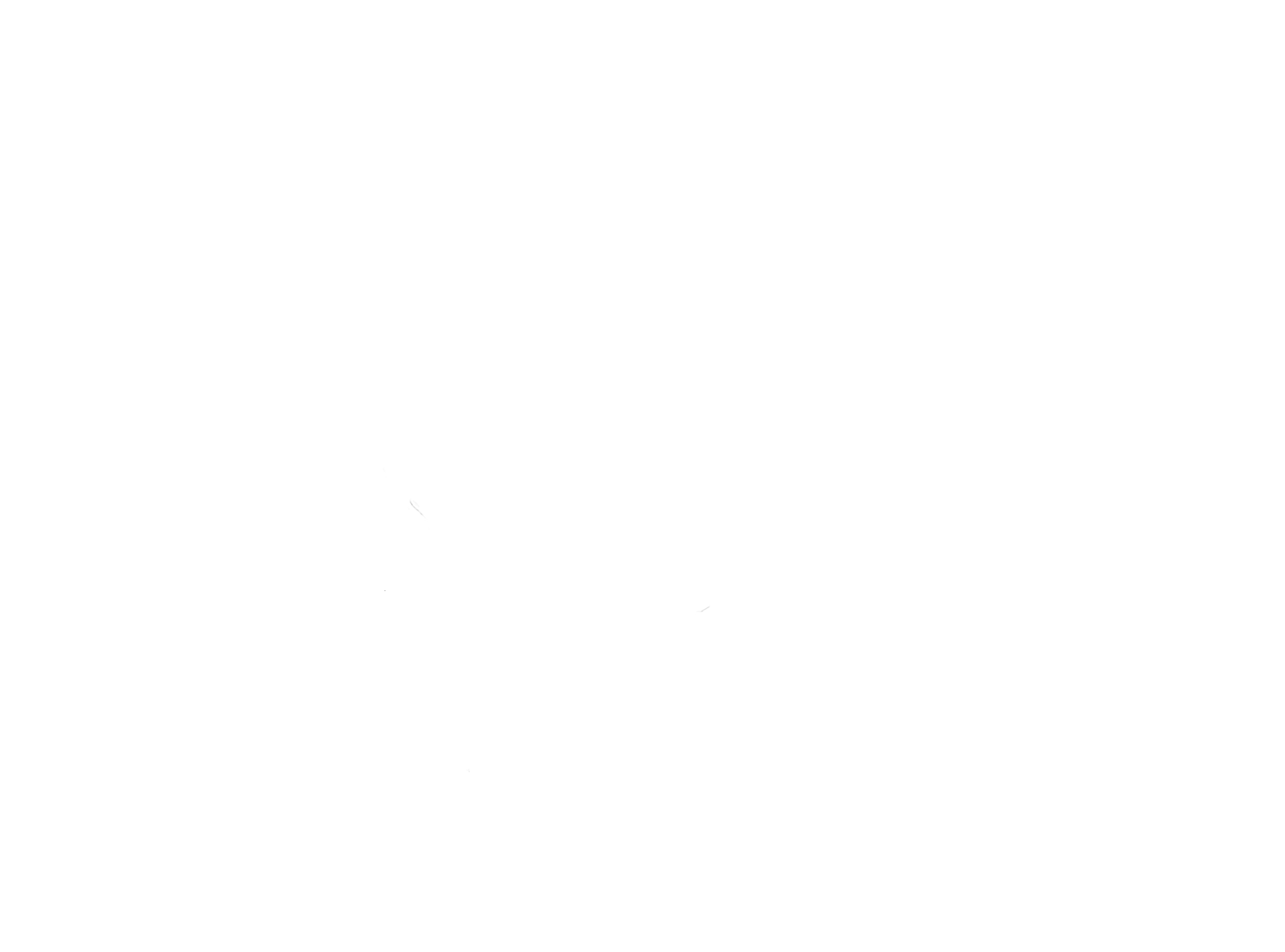 Surprise 2022 ShowLowFilmFestival Winner white - new 2.png