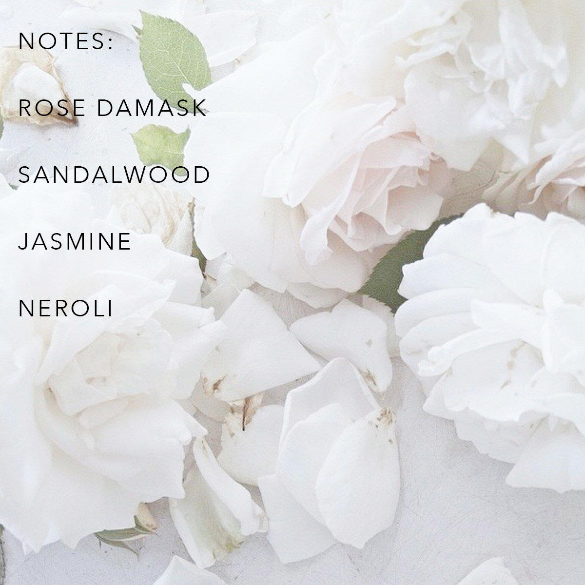 2 blocs-notes rose & viridian « Mes Notes » - Whinat