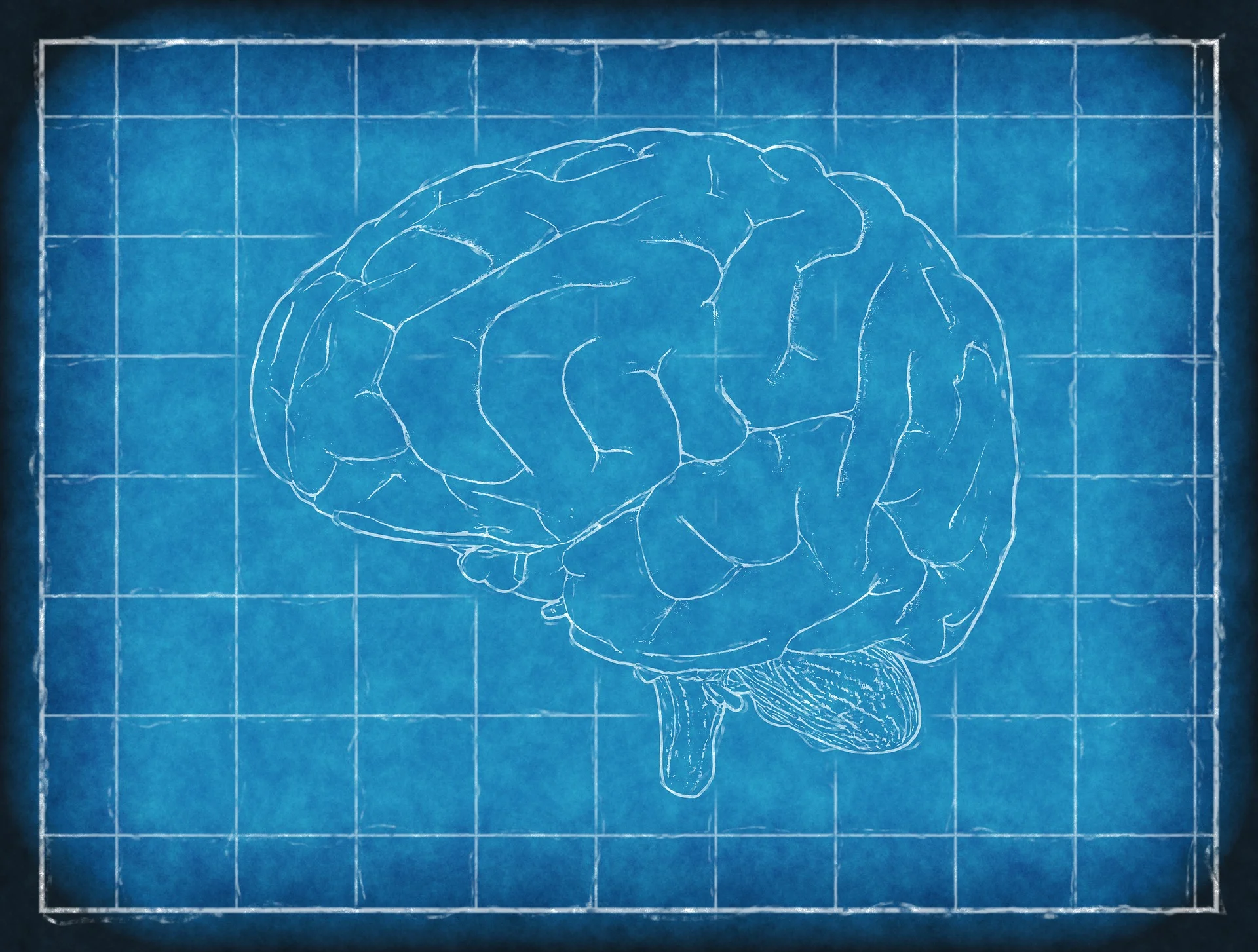 brain-1845941_1920.jpg