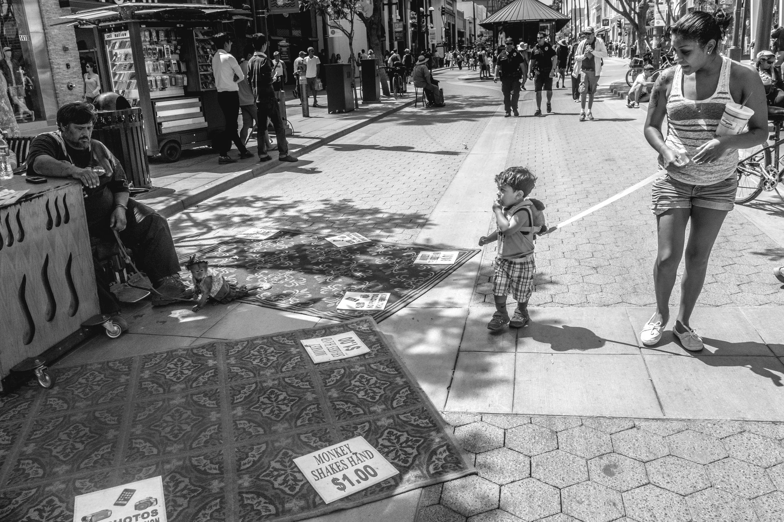 S0369109.jpg