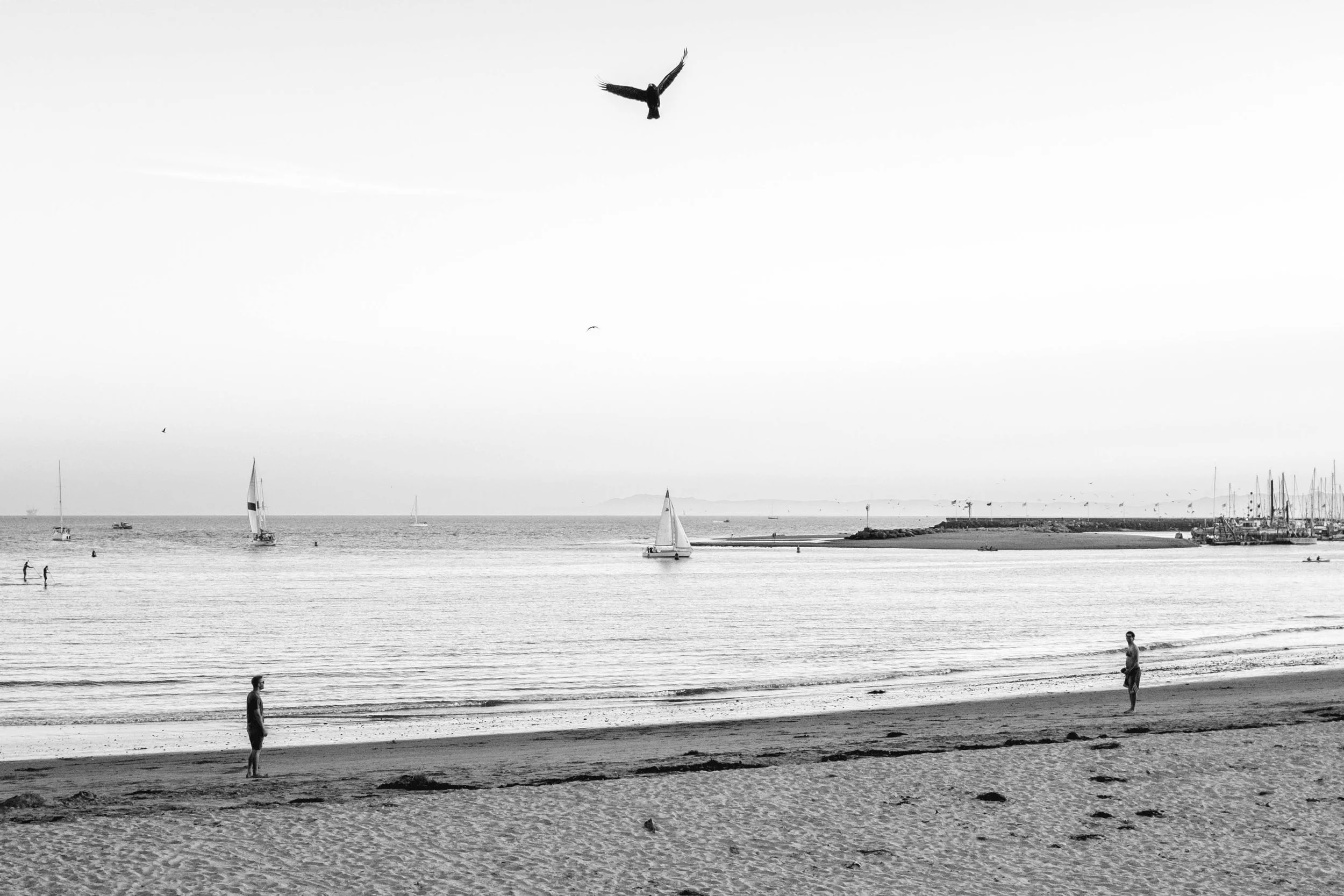 DSCF6676.jpg