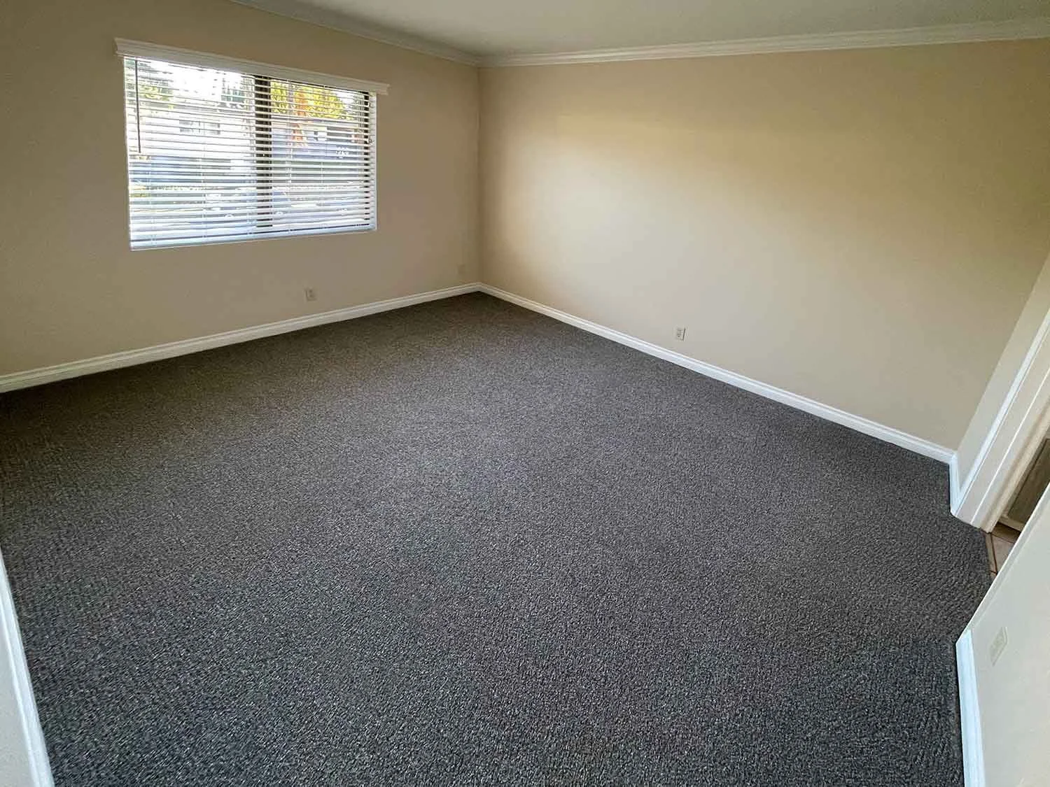  Master suite, with premium carpeting 