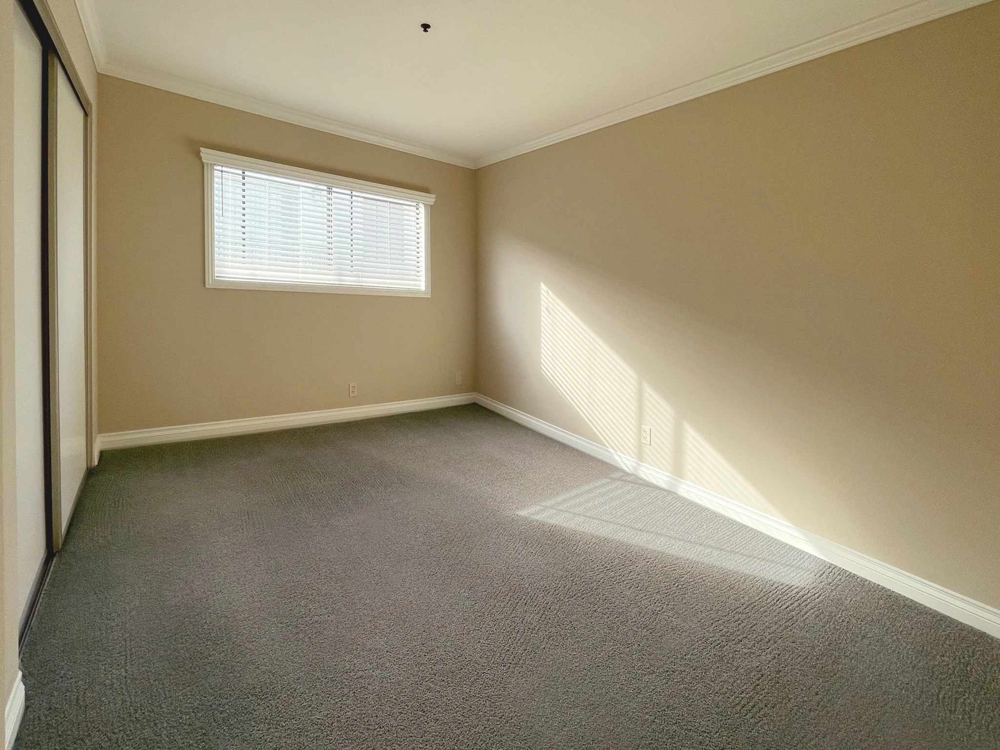 Bright bedroom 2 with BRAND NEW glass closet door (not in photo, just installed)
