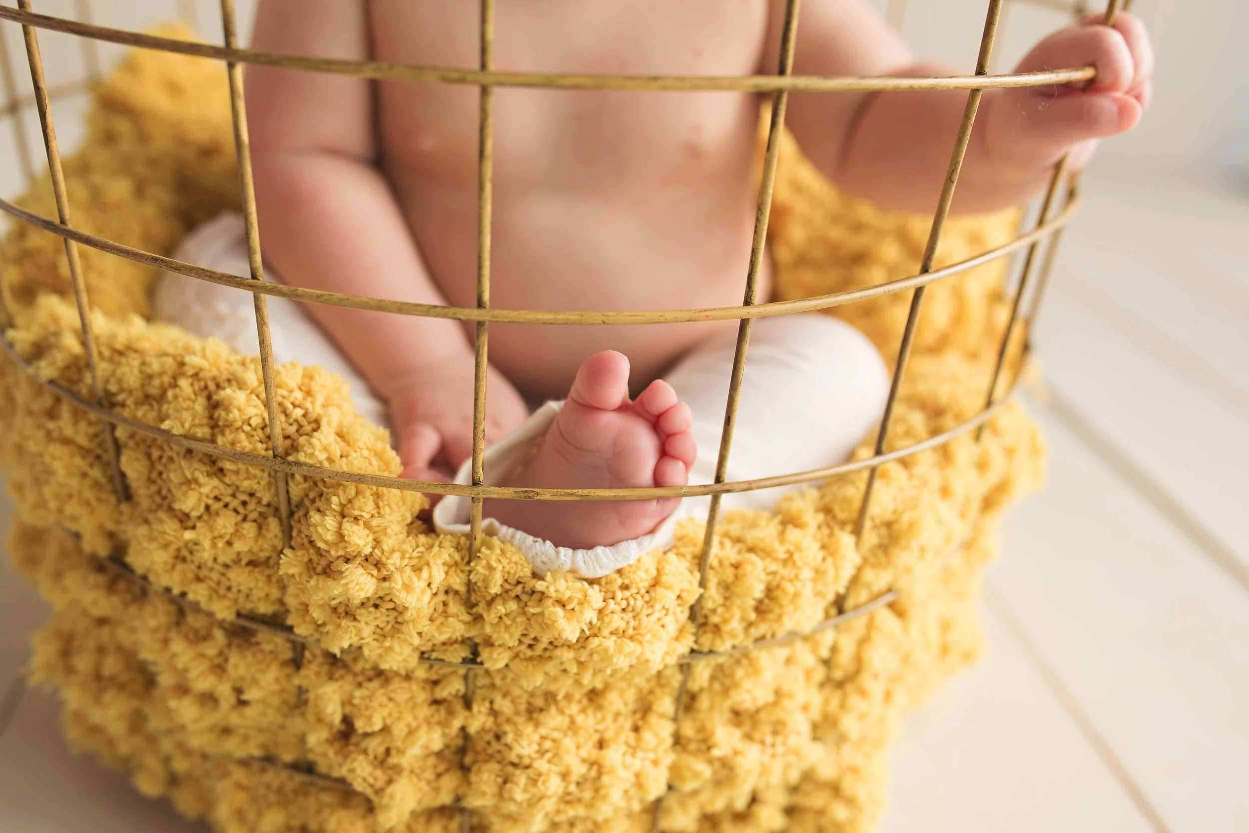 Studio Model Session - Libertyville IL - Lake County IL 