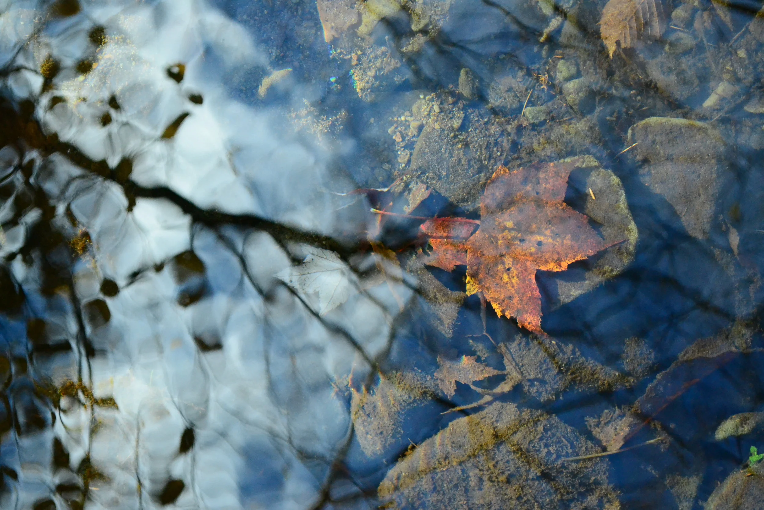 DSC_0622.JPG