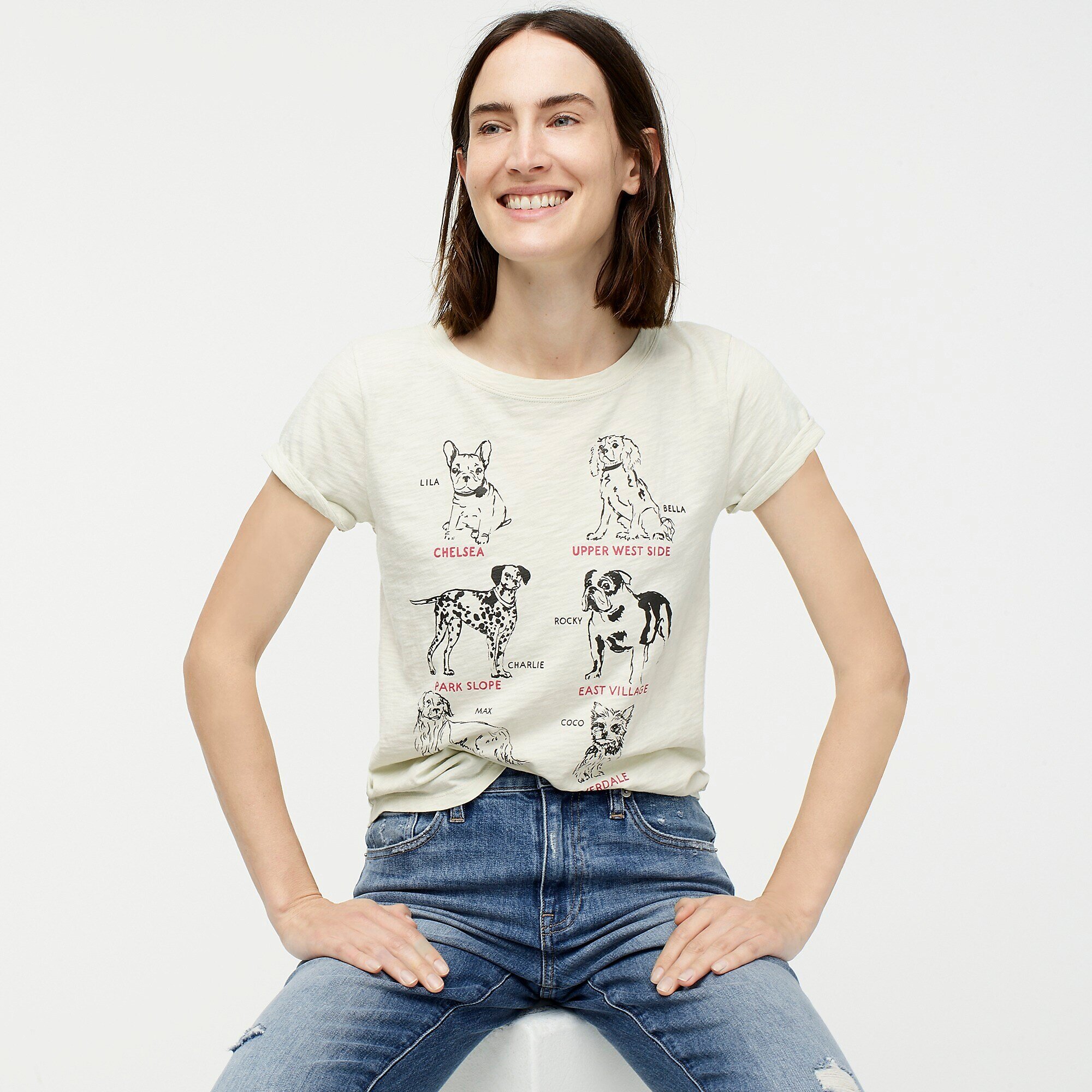 Camilla Atkins, CATKINS DESIGN for J. Crew, Summer 2019 Dogs of New York graphic design, screen printed tee shirt-2.jpeg
