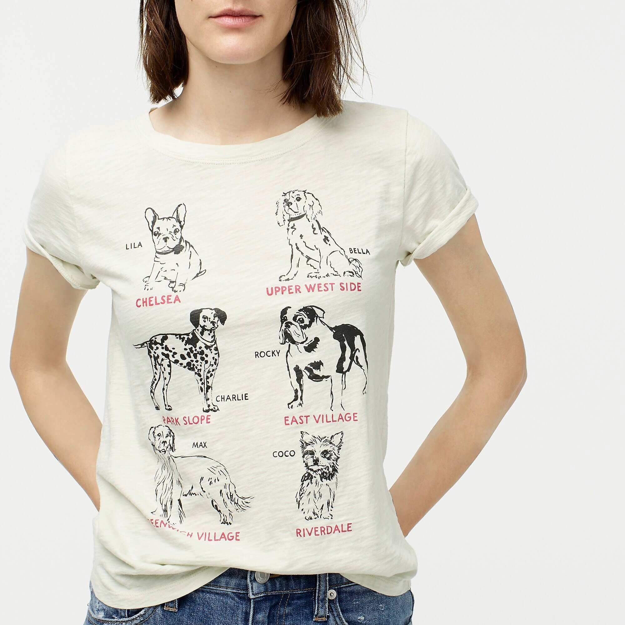 Camilla Atkins, CATKINS DESIGN for J. Crew, Summer 2019 Dogs of New York graphic design, screen printed tee shirt.jpeg