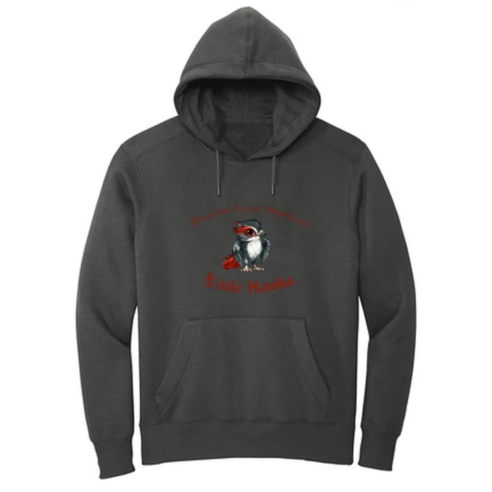 District Perfect Weight Fleece Hoodie.jpg